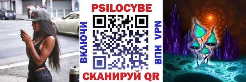 Купить закладки  Пудож  Галлюциногенные грибы GOLDEN TEACHER 